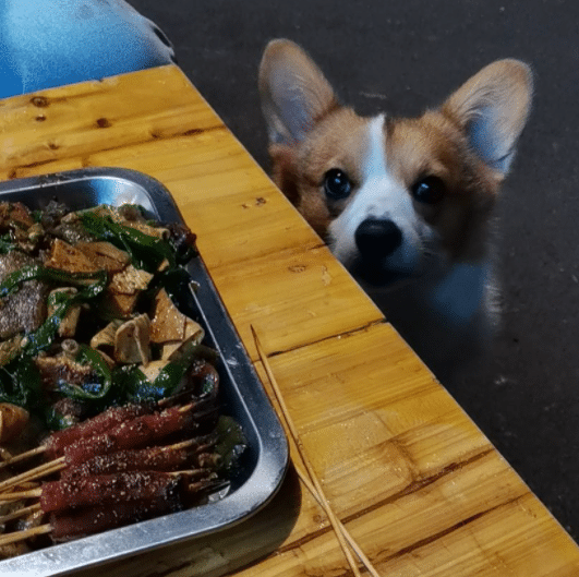 暗中观察