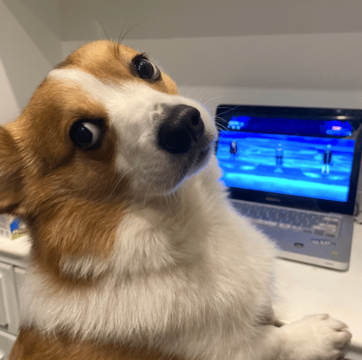 看电视