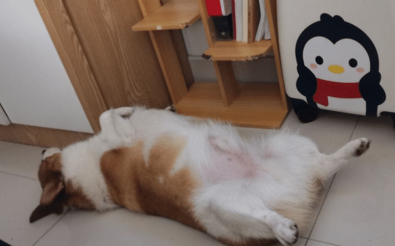 高清无码睡姿