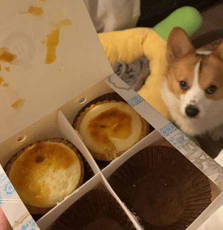 太阳与美味