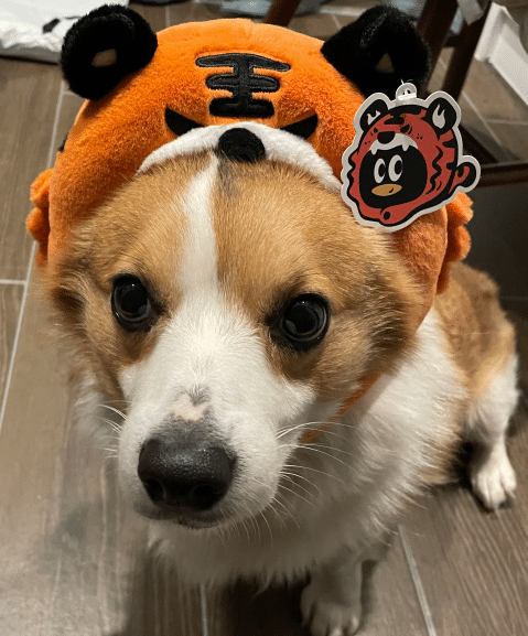 虎年头套