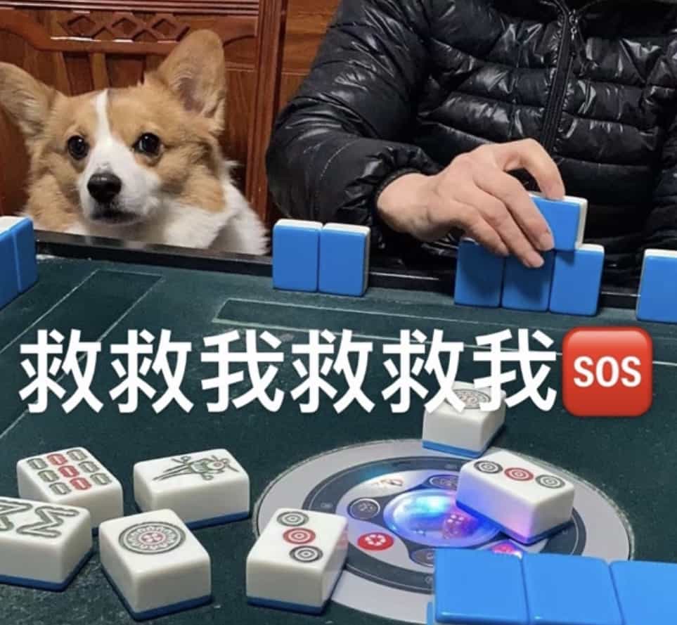 春节悄悄回家记
