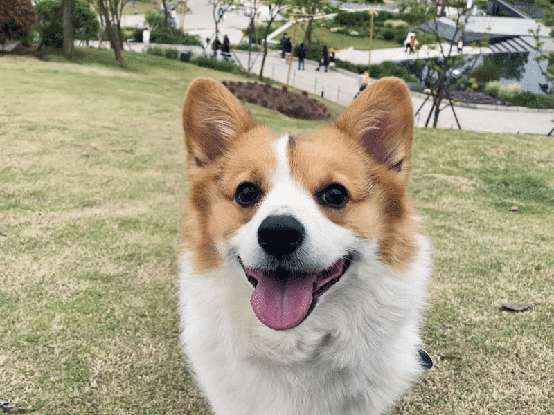 雨天春游