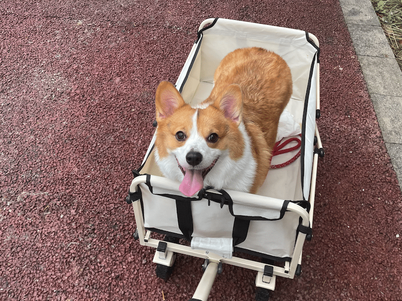 推车记